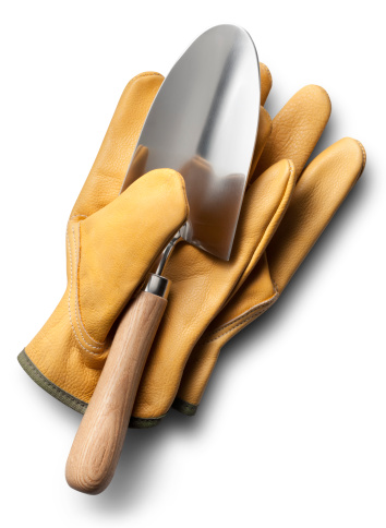 Garden trowel and work gloves. Photo with clipping path.Similar photographs from my portfolio: