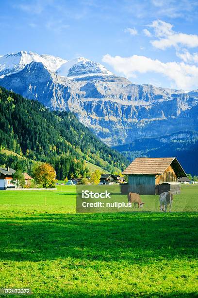 Alpejski Krajobraz - zdjęcia stockowe i więcej obrazów Alpy - Alpy, Bydło Simmental, Alpy Szwajcarskie