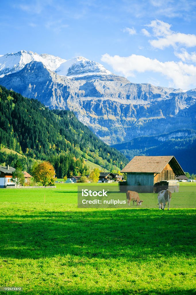 Paisagem alpina - Royalty-free Alpes Europeus Foto de stock