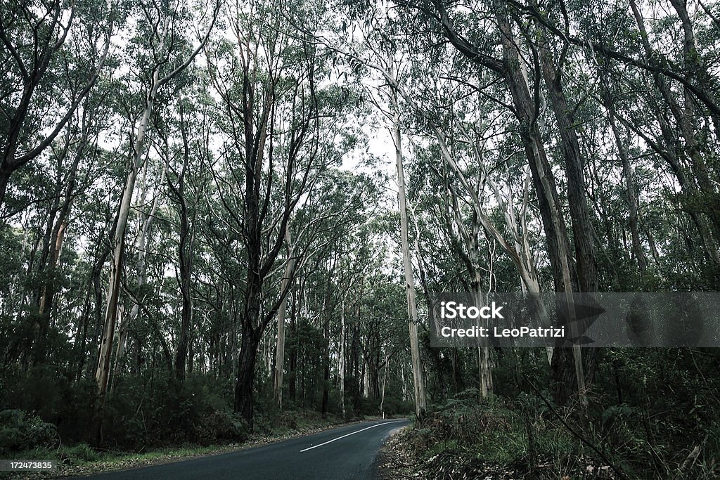 Carretera de un solo carril - Foto de stock de Aire libre libre de derechos