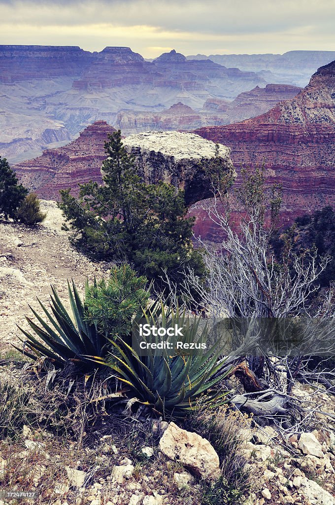 Crepuscolo paesaggio del Grand Canyon in Arizona, Stati Uniti - Foto stock royalty-free di Alba - Crepuscolo