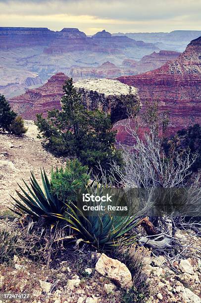 Crepuscolo Paesaggio Del Grand Canyon In Arizona Stati Uniti - Fotografie stock e altre immagini di Alba - Crepuscolo