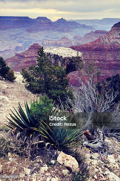 Сумерки Ландшафт В Грандканьон Аризона Сша — стоковые фотографии и другие картинки Аризона - Юго-запад США - Аризона - Юго-запад США, Без людей, Большой Каньон