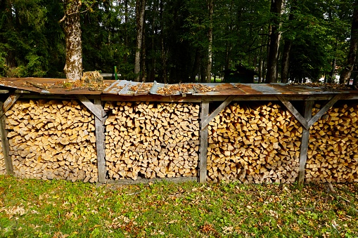 Harvesting firewood for the winter. The firewood is neatly stacked. Harvesting firewood in autumn.