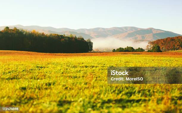 Morgen In Den Bergen Stockfoto und mehr Bilder von Nationalpark Great Smoky Mountains - Nationalpark Great Smoky Mountains, Tennessee, Great Smoky Mountains