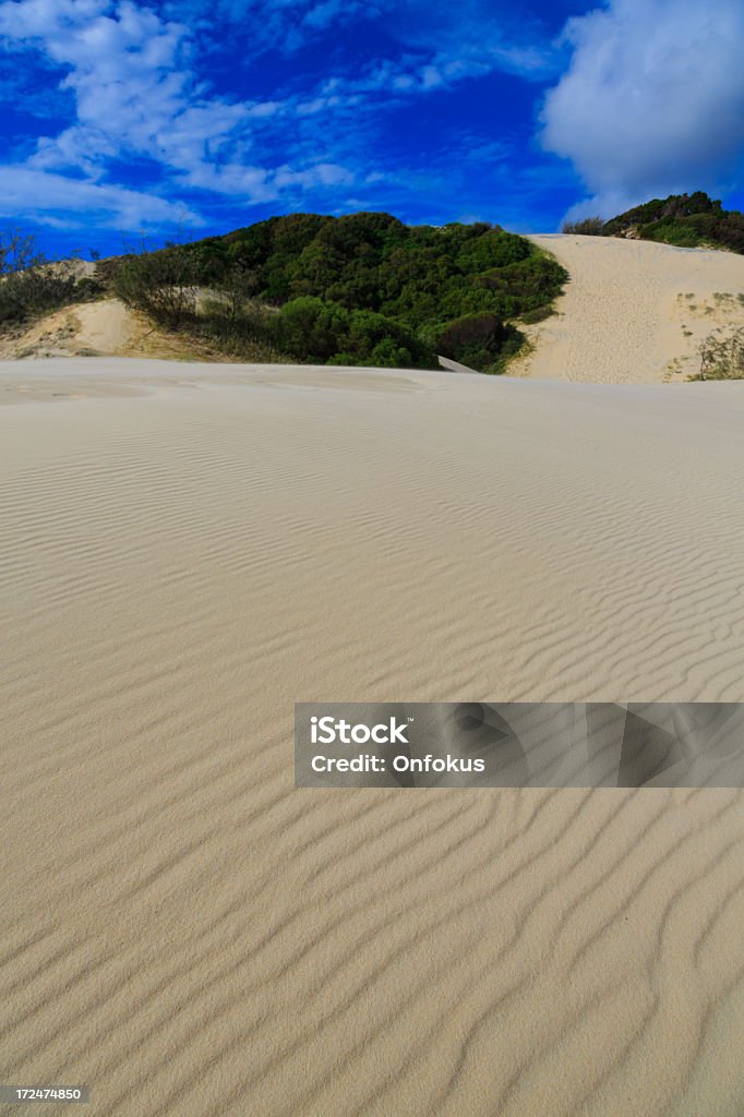 Insel Fraser Island Sanddünen, Australien - Lizenzfrei Insel Fraser Island Stock-Foto