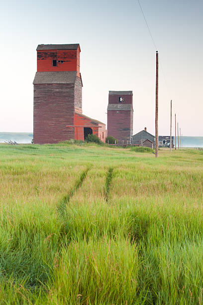 prairie-grain-aufzüge - regina fog morning saskatchewan stock-fotos und bilder