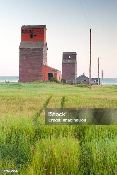 Prairie Fiore Ascensori - Fotografie stock e altre immagini di Abbandonato - Abbandonato, Agricoltura, Ambientazione esterna