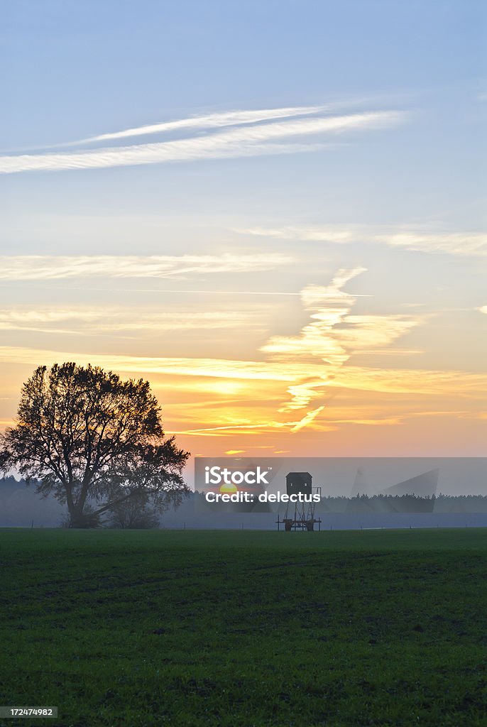 Sunset over a field Sunset over a field. Agricultural Field Stock Photo