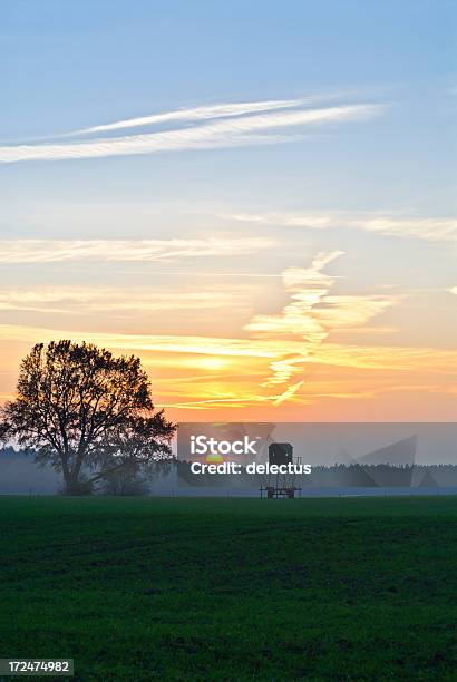 Sunset Over A Field Stock Photo - Download Image Now - Agricultural Field, Bare Tree, Deciduous Tree