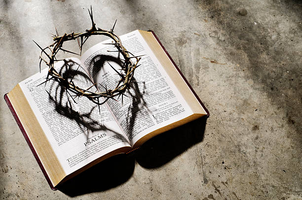Crown of thorns Crown of thorns on a bible with heart shape shadow.  Please see my portfolio for other religious related images. thorn photos stock pictures, royalty-free photos & images