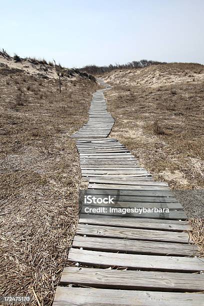 Foto de Passarela Para A Praia e mais fotos de stock de Areia - Areia, Calçada, Cena Não-urbana