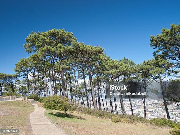 Сигнализировать Возвышенность — стоковые фотографии и другие картинки Signal Hill - Кейптаун - Signal Hill - Кейптаун, Без людей, Горизонтальный