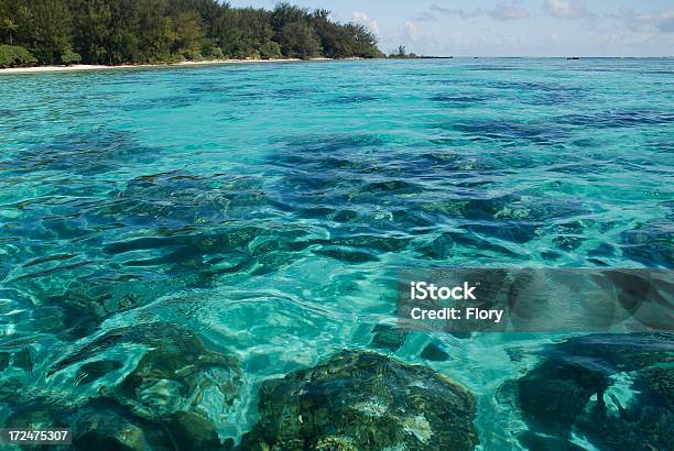 Foto de Polynesian Mar e mais fotos de stock de Azul Turquesa - Azul Turquesa, Beleza natural - Natureza, Bora Bora