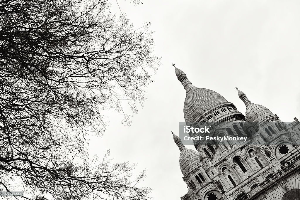 Sacre Coeur Basilica del Sacro Cuore di Parigi Francia bianco e nero - Foto stock royalty-free di Albero