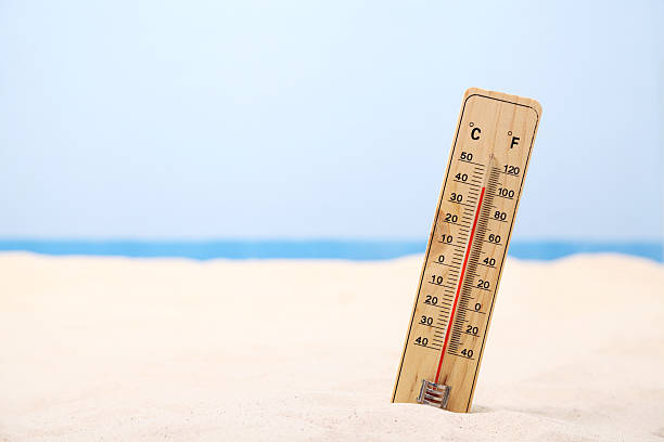 istock Hot weather at the beach 172476463