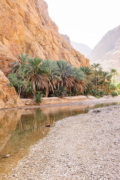 istock Wadi Shab entrance 172476811
