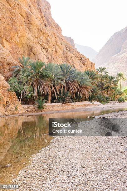 Wadi Обнаружил Вход — стоковые фотографии и другие картинки Оазис - Оазис, Оман, Tiwi - Oman