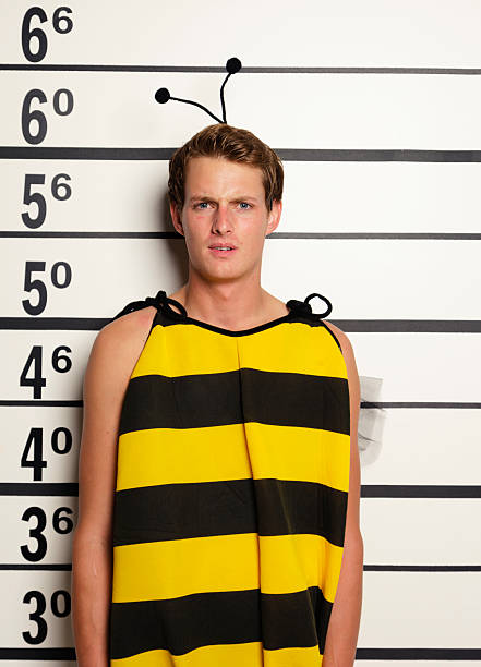 A mugshot/booking photo of an unhappy man wearing a bee costume.