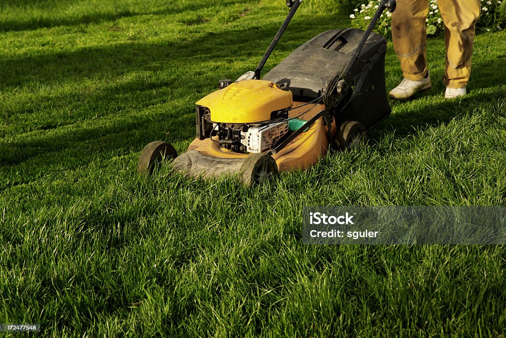 Tondre la pelouse - Photo de Herbe libre de droits