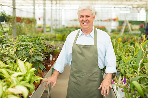istock Senior florist posing in greenhouse 172477753