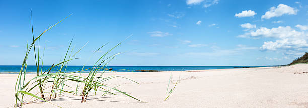 sand dunes panorama - clear sky nobody blade of grass summer fotografías e imágenes de stock