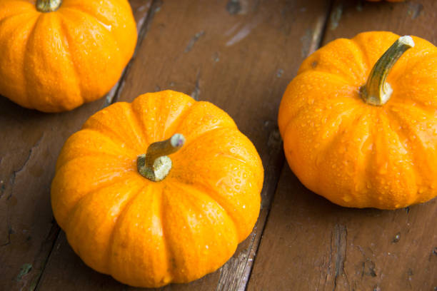 istock Group of mini pumpkins on a mini table 1724788260