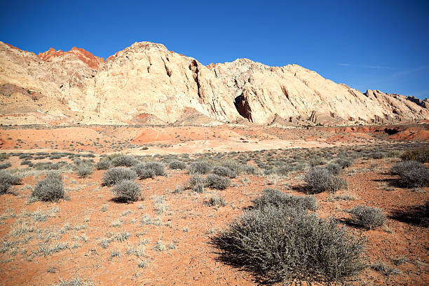 paesaggio di badlands - sonoran desert desert badlands mesa foto e immagini stock