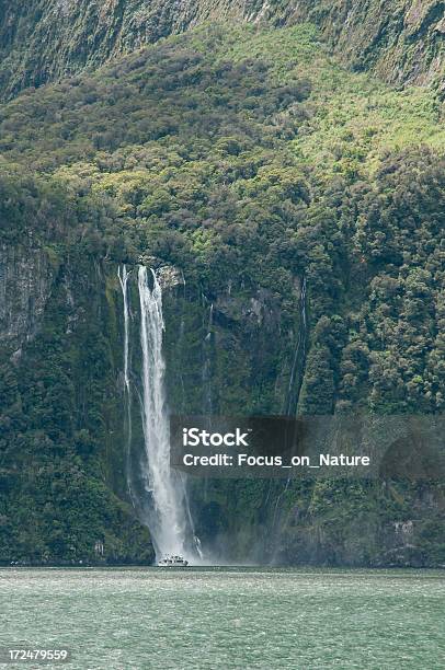 Milford Sound Crociera - Fotografie stock e altre immagini di Acqua - Acqua, Ambientazione esterna, Bellezza naturale