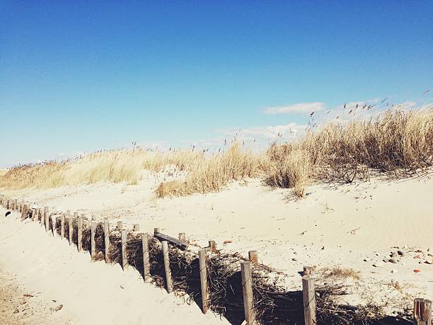 paisaje de dunas - amrum summer spring island fotografías e imágenes de stock