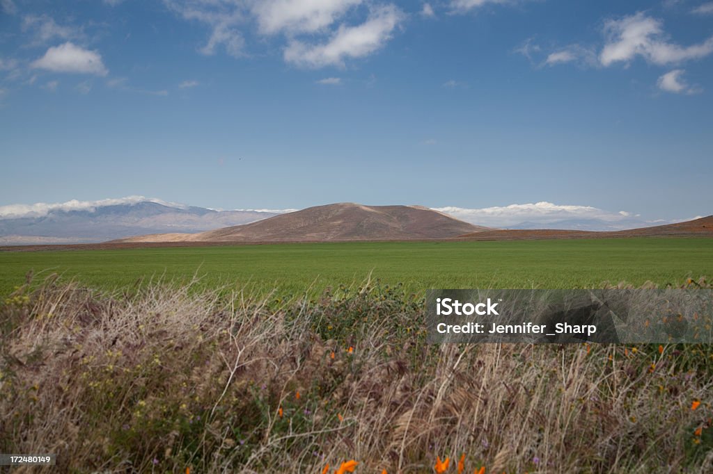 Campo e Montanhas - Royalty-free Agricultura Foto de stock