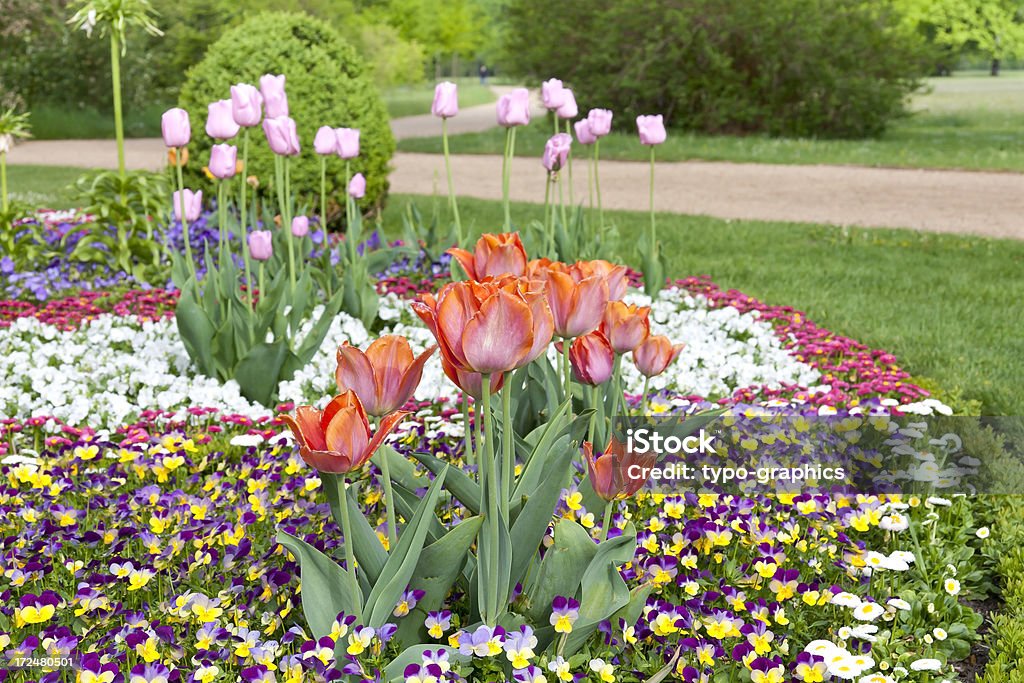 I fiori nel parco - Foto stock royalty-free di Aiuola