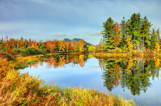 Autumn foliage along the Magalloway River in northwestern Maine