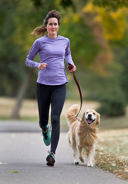 istock Jogger and Golden Retriever 172480643