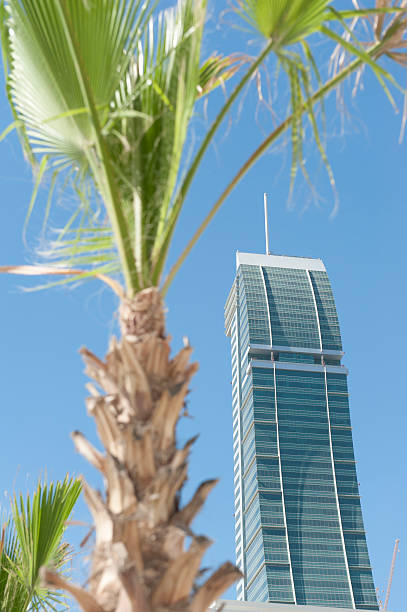 istock financial building in Bahrain with palm tree 172480685