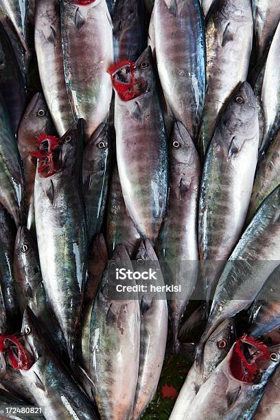 Pescheria - Fotografie stock e altre immagini di Acquacoltura - Acquacoltura, Alimentazione sana, Animale