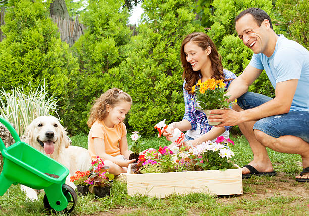 istock Family Gardening Together. 172481164