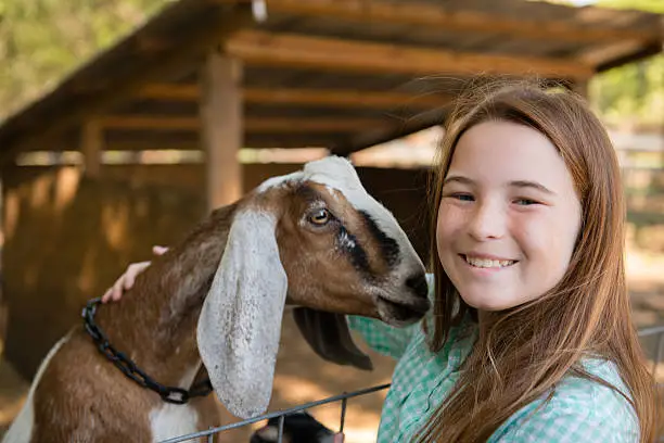 Photo of Farm Girl with a Goat