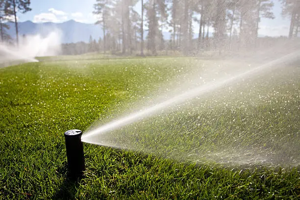 A golf course being watered with underground sprinkler system. Irrigation and water theme. Turf grass maintenance on a golf course. This sprinkler head is installed on the back of a tee box on a beautiful golf course in the mountains. 