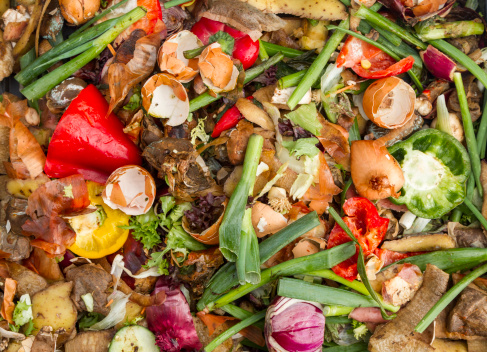 Domestic kitchen waste on compost heap