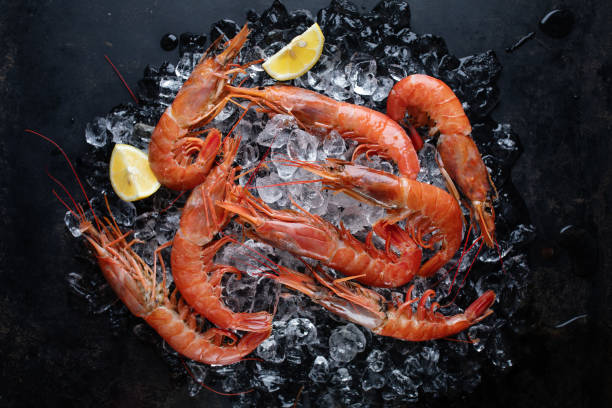 istock Raw shrimps on ice cubes 1724815379