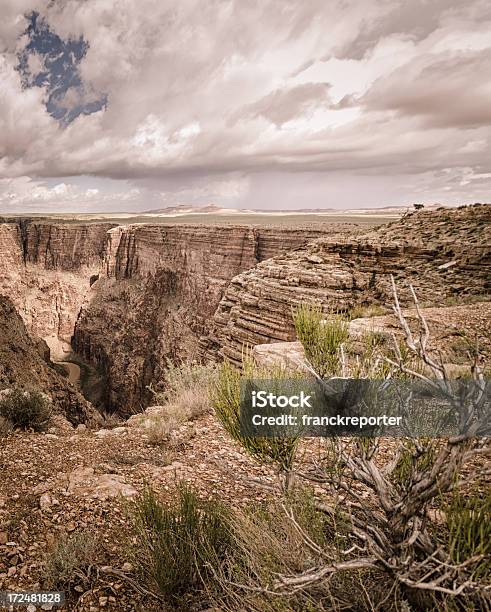 Park Narodowy Wielkiego Kanionu W Arizonie - zdjęcia stockowe i więcej obrazów Ameryka Północna - Ameryka Północna, Bez ludzi, Dolina