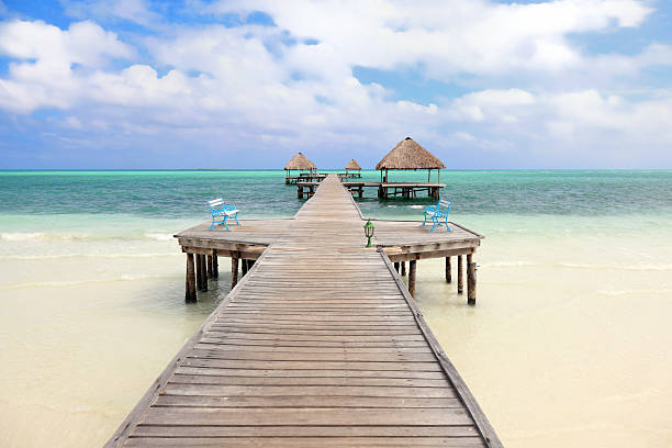 tropical spiaggia - beach bench caribbean sea cloudscape foto e immagini stock