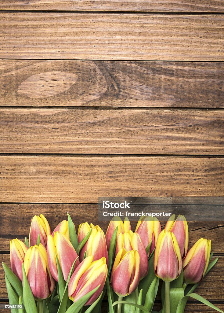 Haufen Frühling Tulpen - Lizenzfrei Balkengerüst Stock-Foto