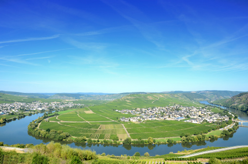 Horse shoe bend of river Mosel with  village in vineyards