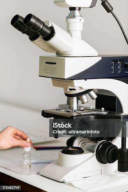 Microscópio - Fotografias de stock e mais imagens de ADN - ADN, Adulto, Amostra Médica