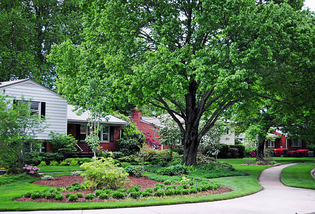 istock American Suburb with House and pavement 172482768