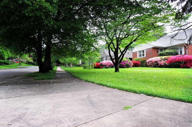 istock American Suburb with Houses and pavement 172482775