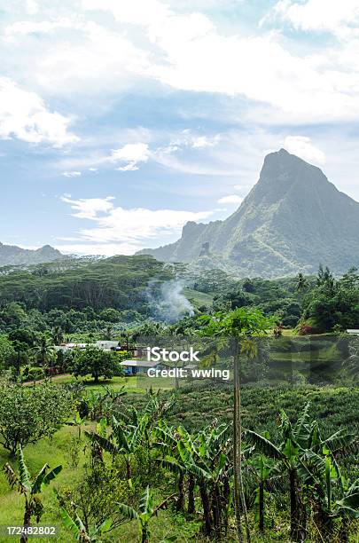 Góra Malowniczym Widokiem Moorea - zdjęcia stockowe i więcej obrazów Ananas - Ananas, Moorea, Bez ludzi