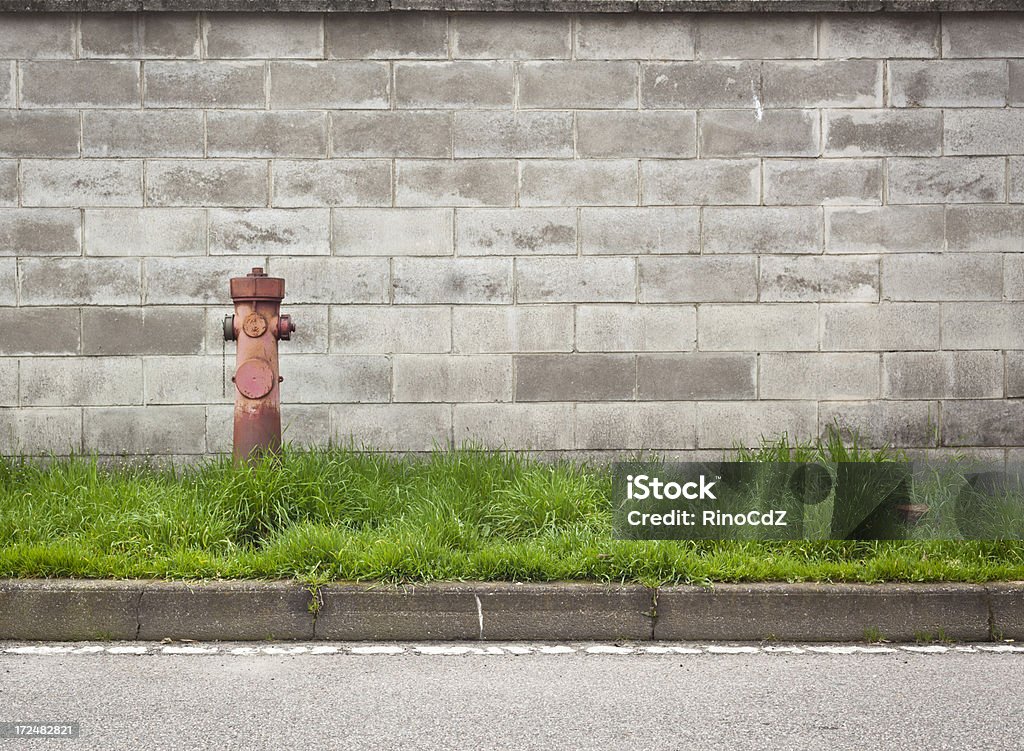 Parede de tijolos com um hidrante e grama - Foto de stock de Antigo royalty-free